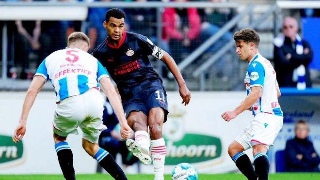 布置与临场 布置与临场