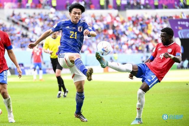 中国女排可 中国女排可